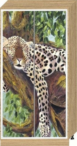 ШК_21 ФОТОДРУК