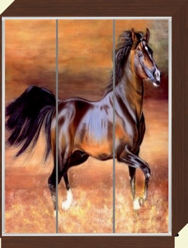 ШК_31 ФОТОДРУК